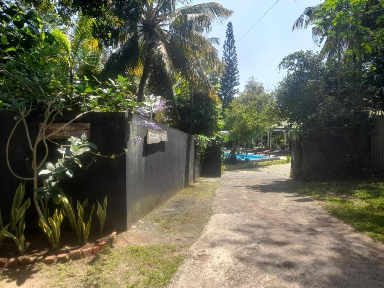Tranquility guest house Hikkaduwa Extérieur photo