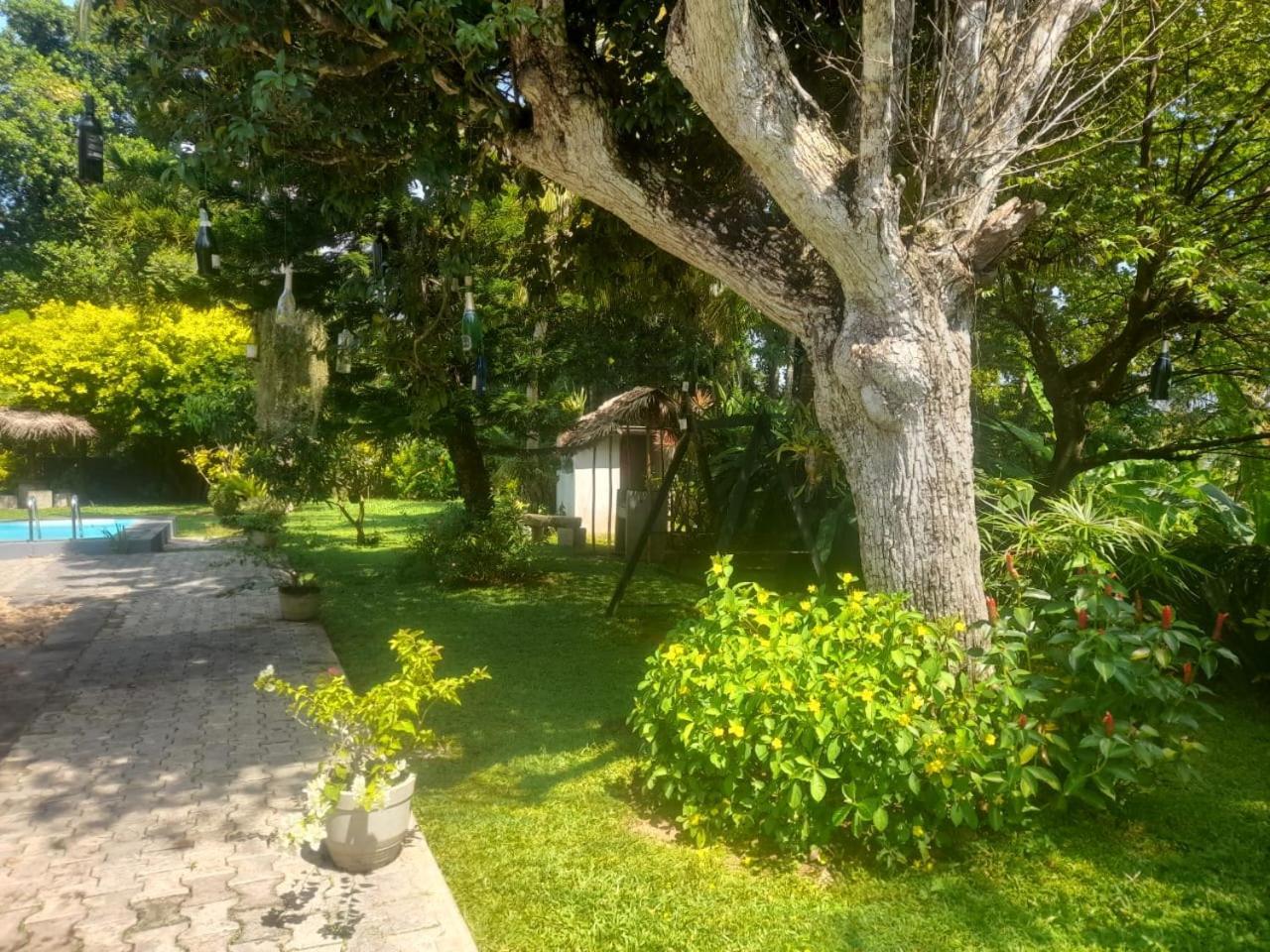 Tranquility guest house Hikkaduwa Extérieur photo