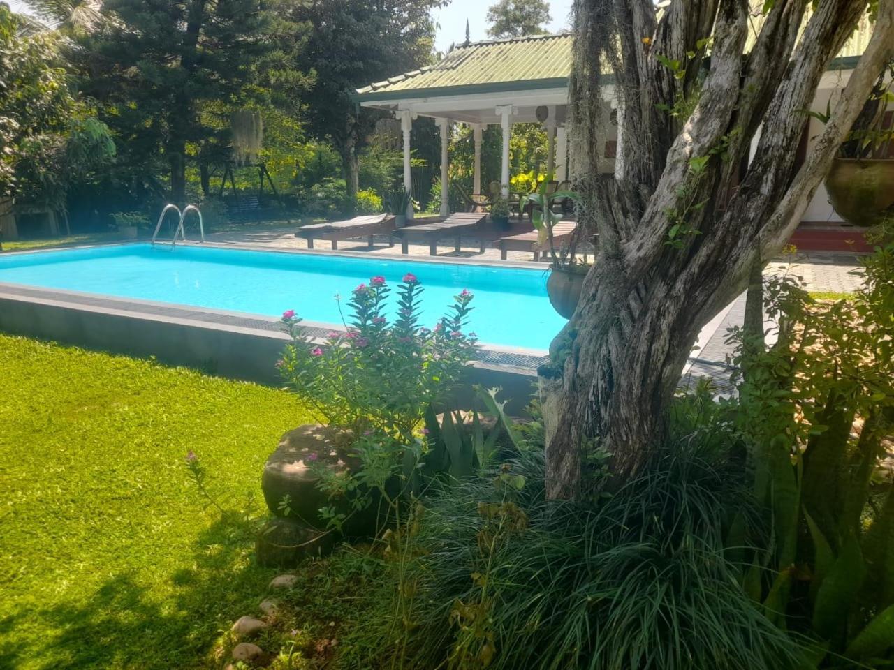 Tranquility guest house Hikkaduwa Extérieur photo