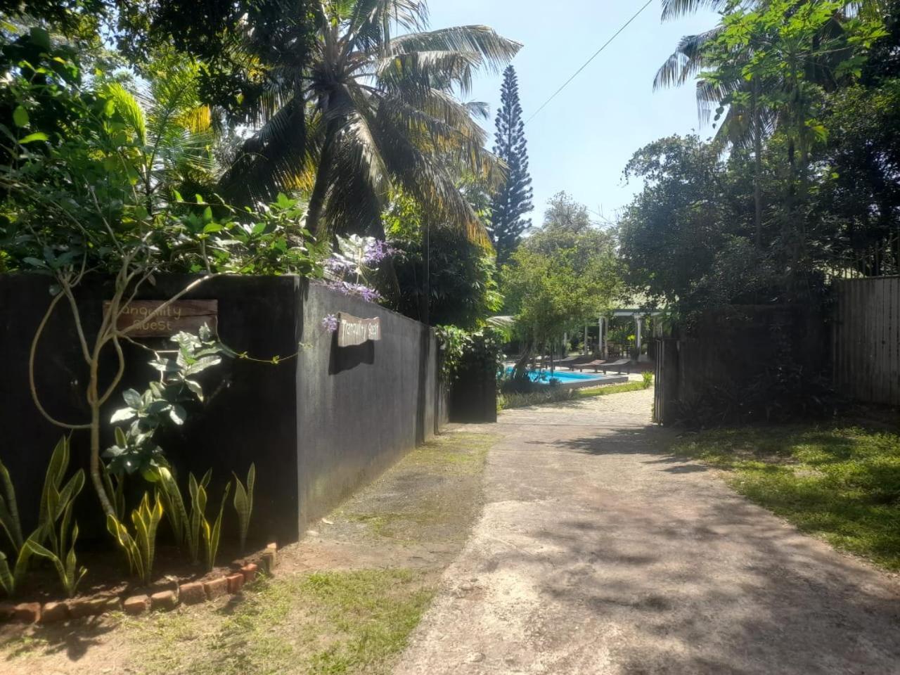 Tranquility guest house Hikkaduwa Extérieur photo