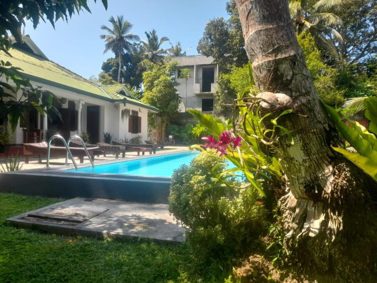 Tranquility guest house Hikkaduwa Extérieur photo