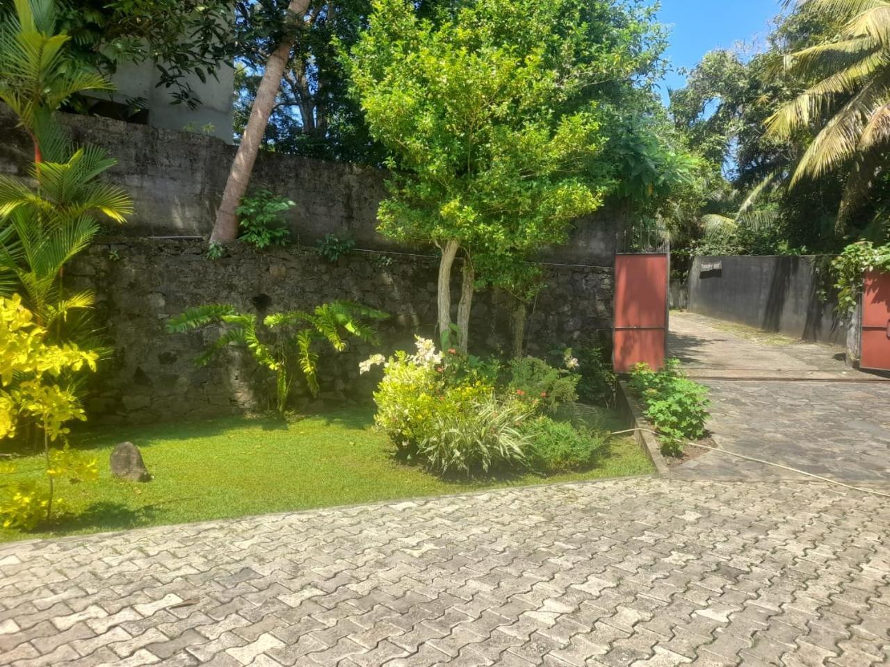 Tranquility guest house Hikkaduwa Extérieur photo