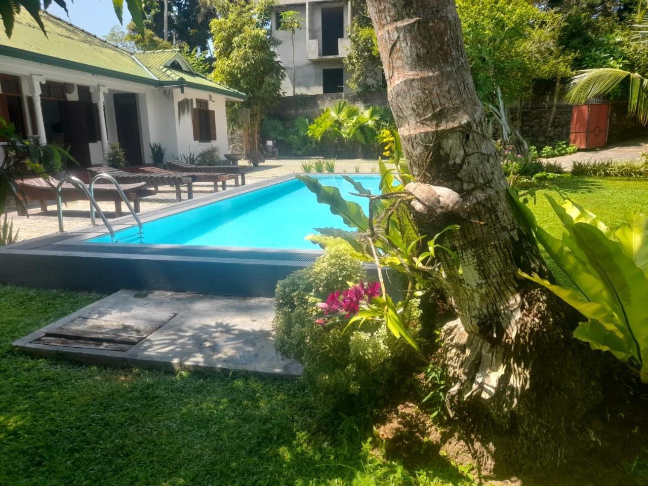 Tranquility guest house Hikkaduwa Extérieur photo