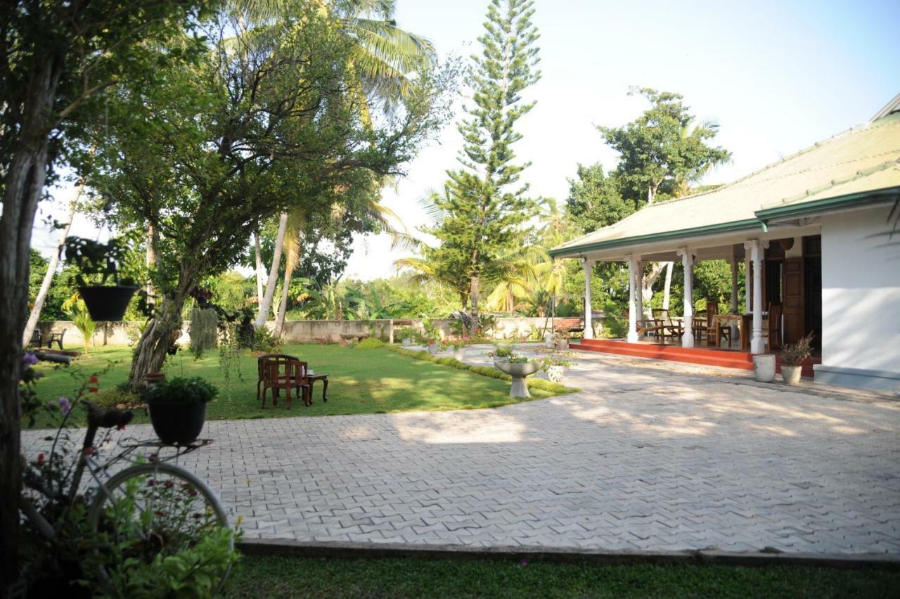 Tranquility guest house Hikkaduwa Extérieur photo