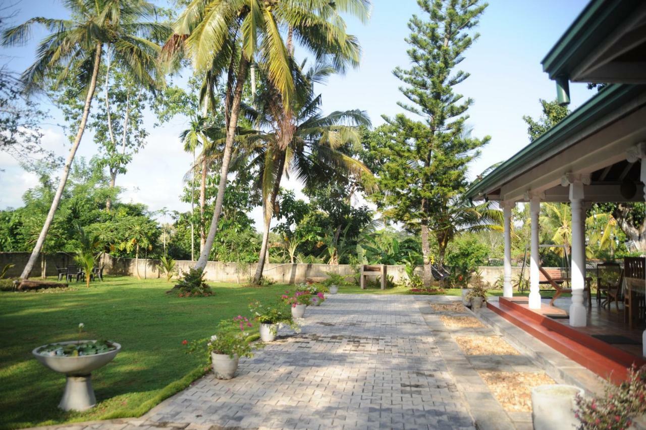 Tranquility guest house Hikkaduwa Extérieur photo